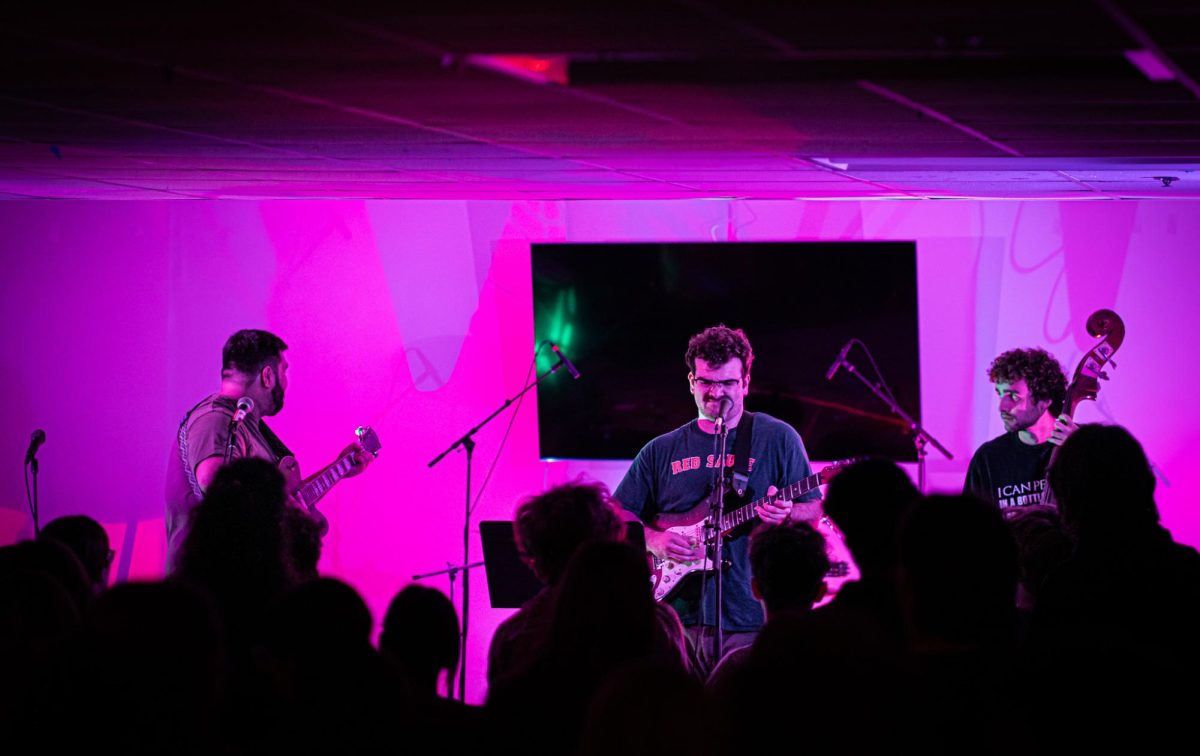 From left: Grant Anguiano `24 and Theo Richter `24, both on guitar and vocals, and Noah Mendola `26 on the upright bass open the night.