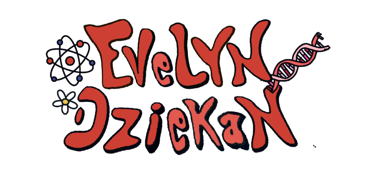 evelyn